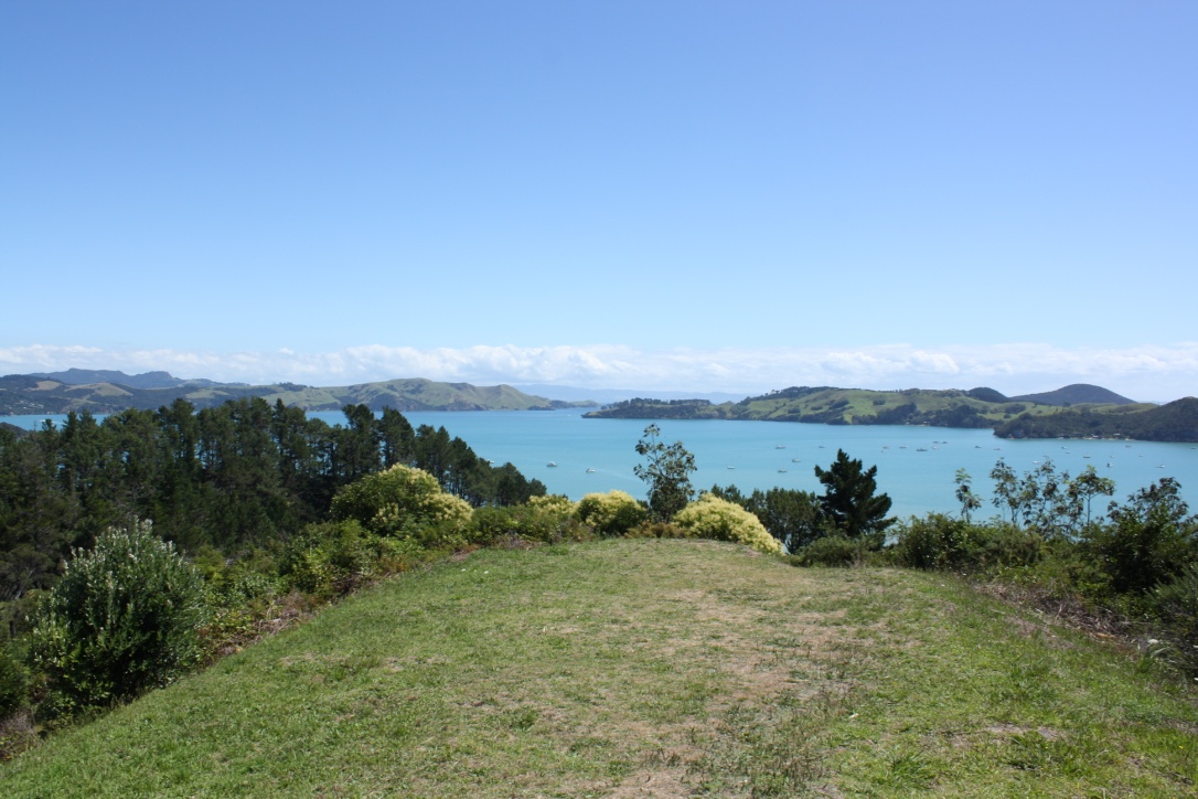 cover-image