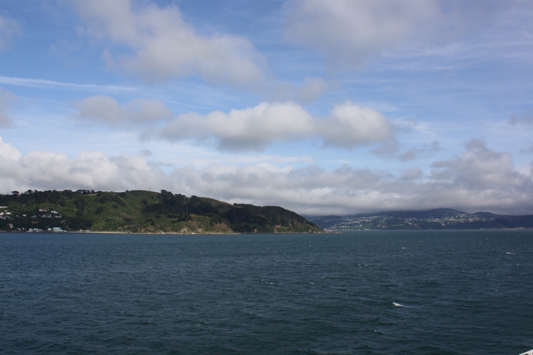 cover-image
