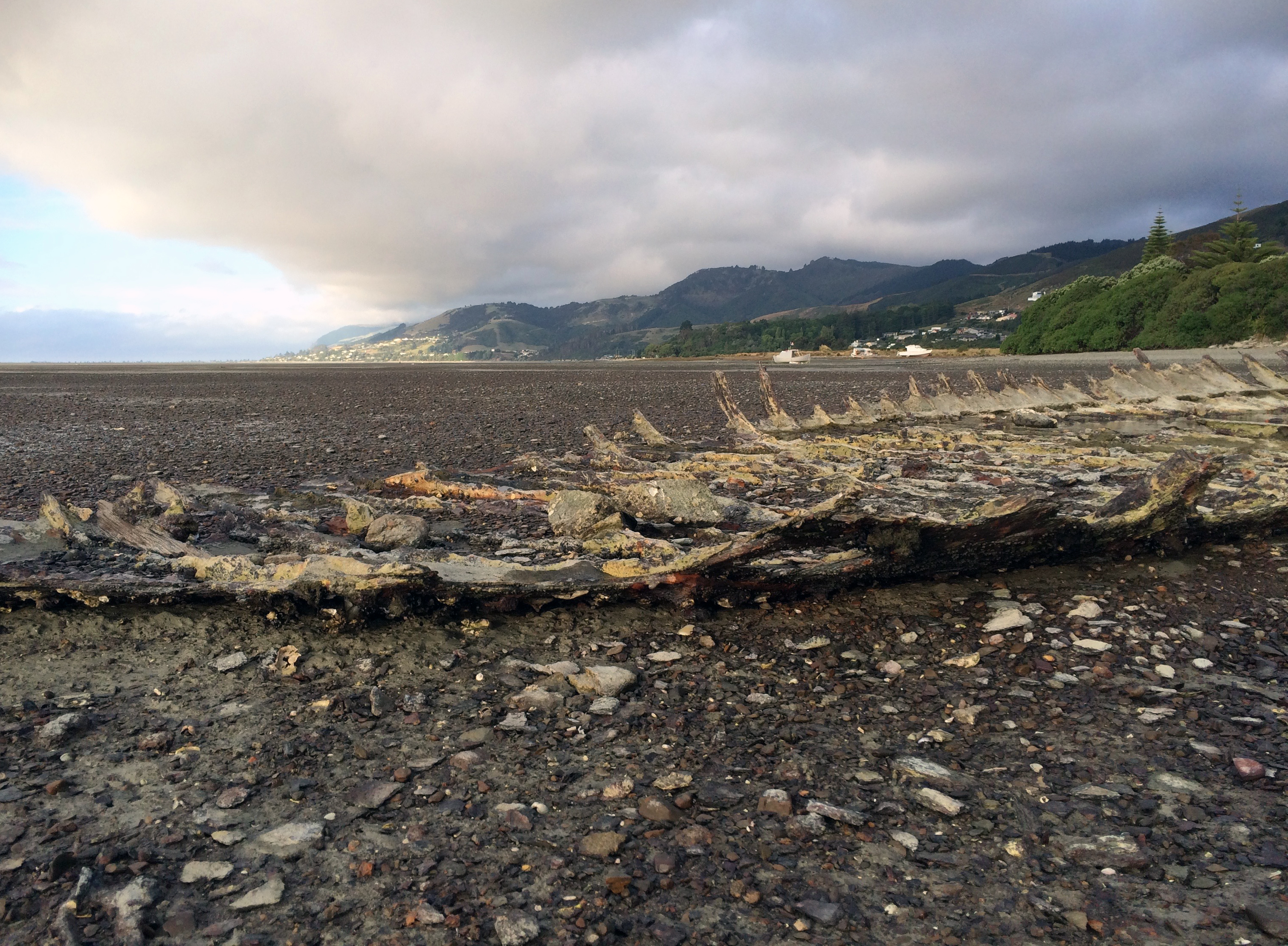 Boat skeleton on the shore