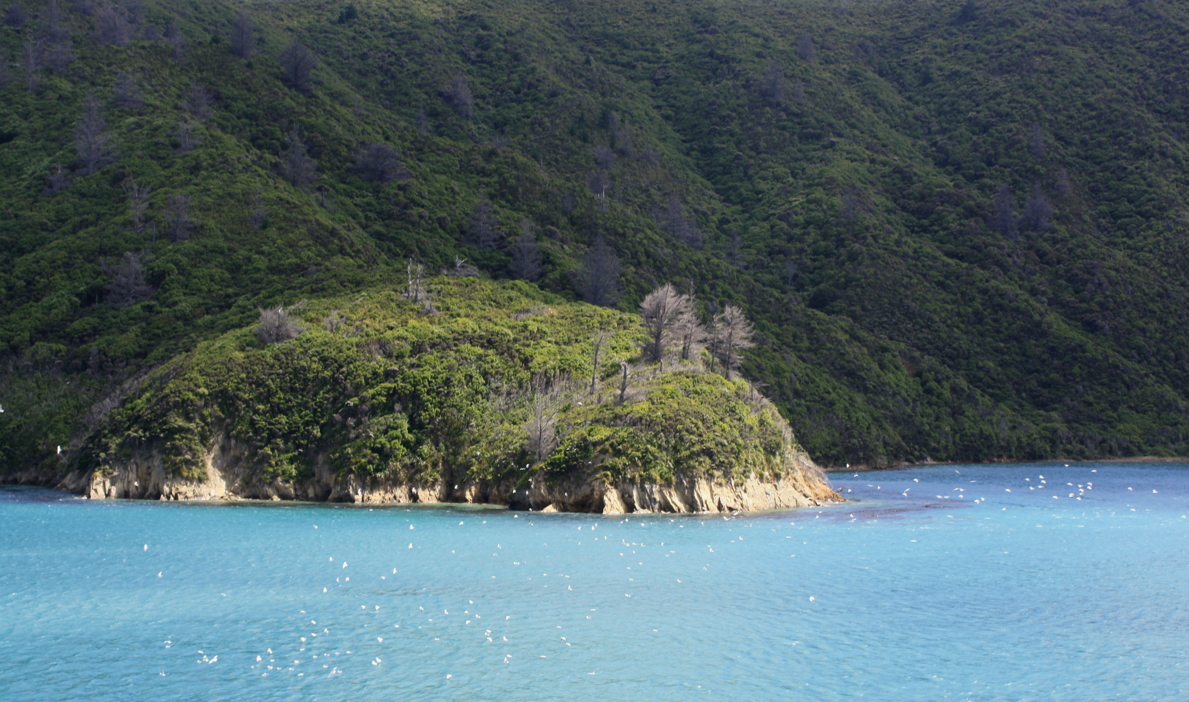 Amazing Water