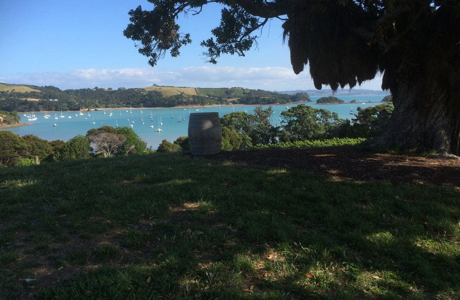 View from a vineyard